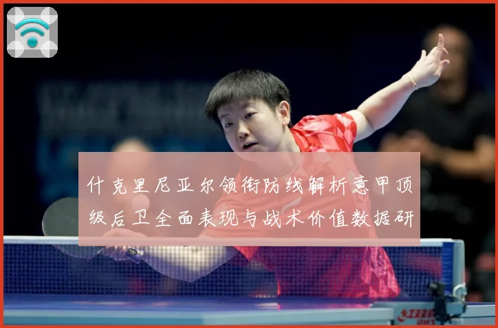 什克里尼亚尔领衔防线解析意甲顶级后卫全面表现与战术价值数据研判-深度解析